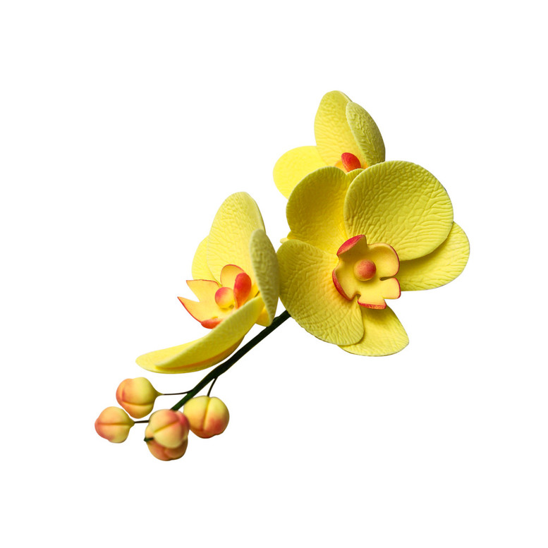 Цукрова прикраса Гілочка орхідеї лимонної